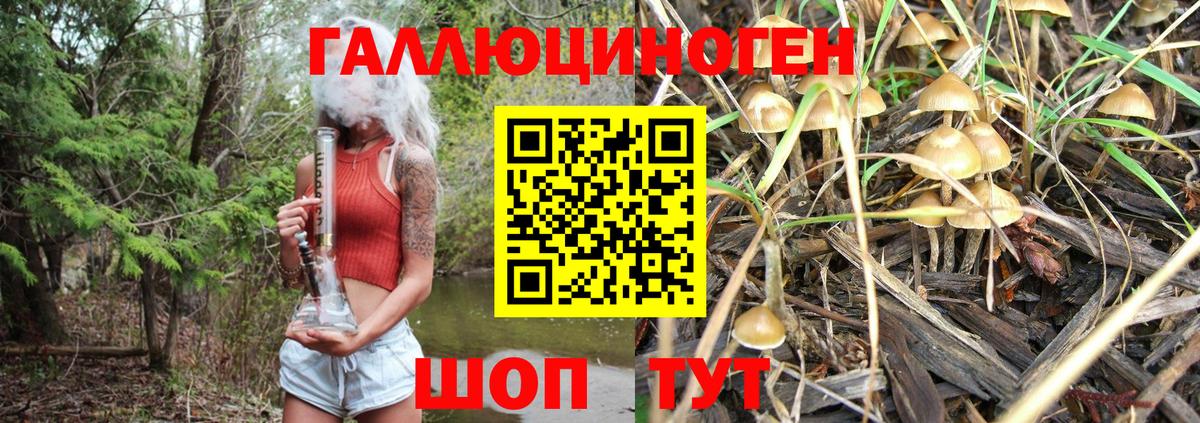 Ессентуки  Галлюциногенные грибы Psilocybe  Галлюциногенные грибы Magic Shrooms  Вход с VPN 